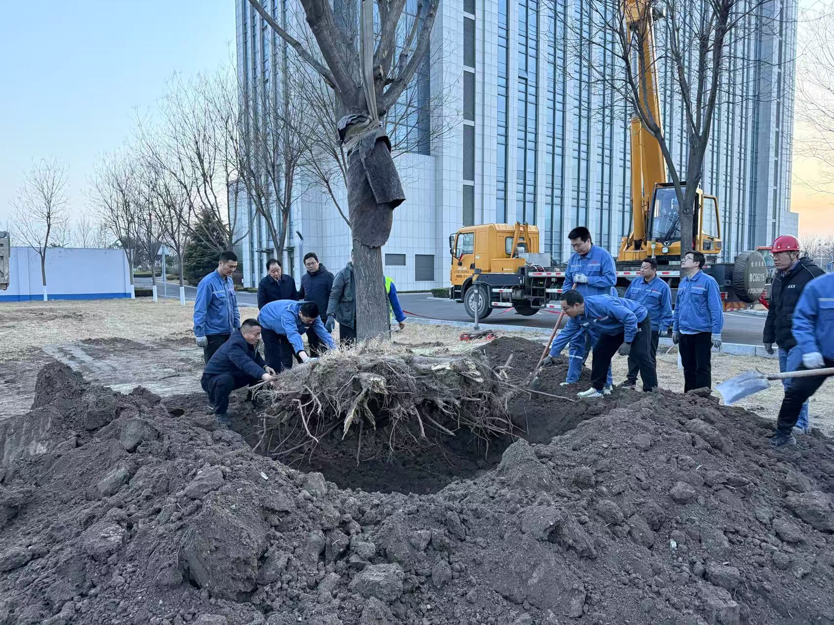 2025年3月1日永利304官网唯一干部职工合力栽下新春第一树